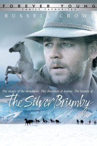 Poster for Silver Stallion, The