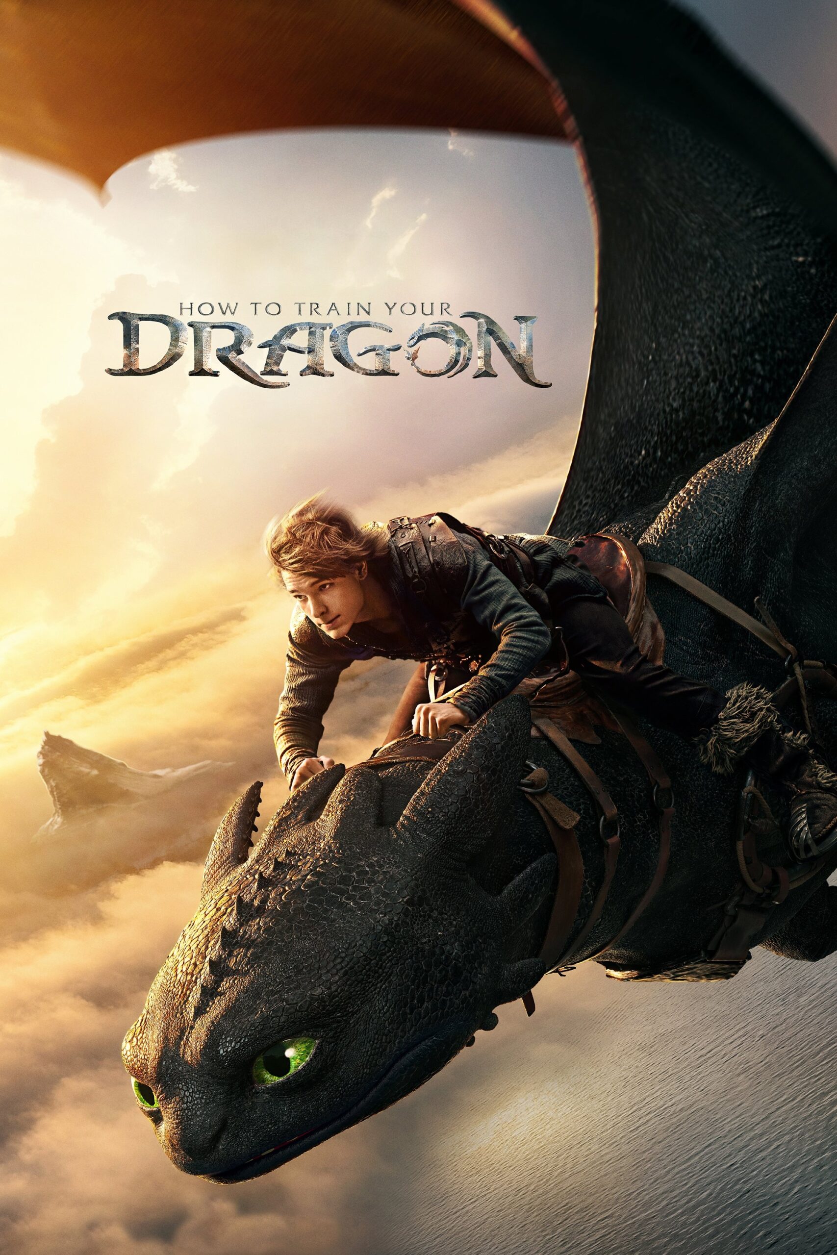 Poster for How To Train Your Dragon